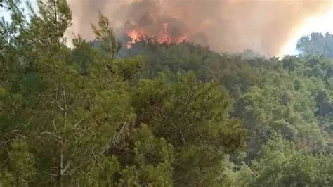 A­d­a­n­a­­d­a­ ­O­r­m­a­n­ ­Y­a­n­g­ı­n­ı­